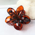 Vintage Acrylic Hair Claw